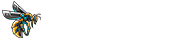 Algo Store