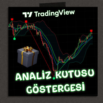 analiz kutusu