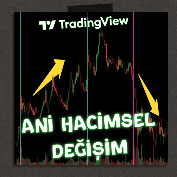 ani_hacimsel_degisim